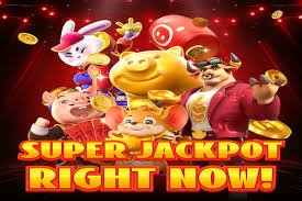 Panduan pasang taruhan online di FNS247 untuk semua kategori game terpercaya